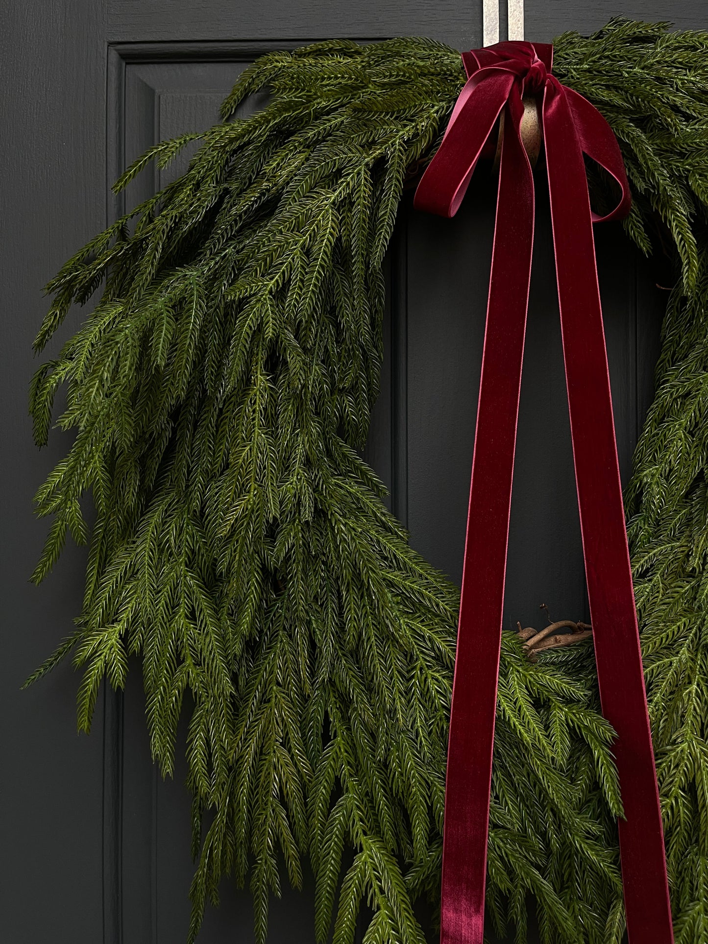 Norfolk Pine Wreath - Dior Bow