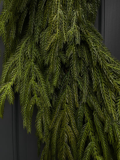 Norfolk Pine Wreath - Dior Bow