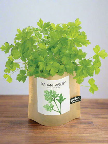 Garden in a Bag | Herbs