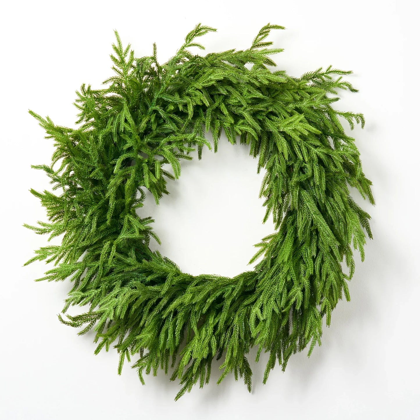 Norfolk Pine Wreath | 30"