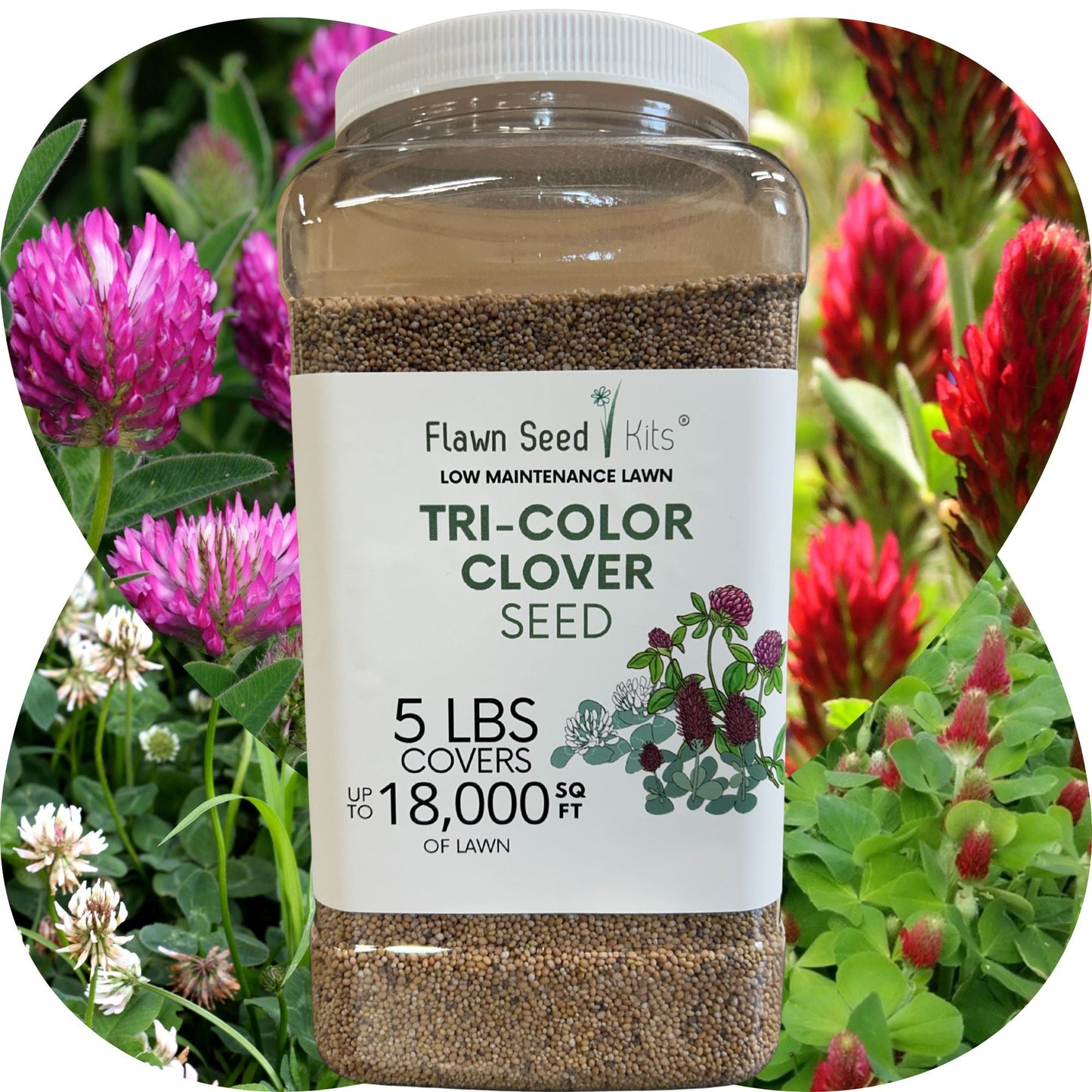 Tri-Color Clover Seed Blend