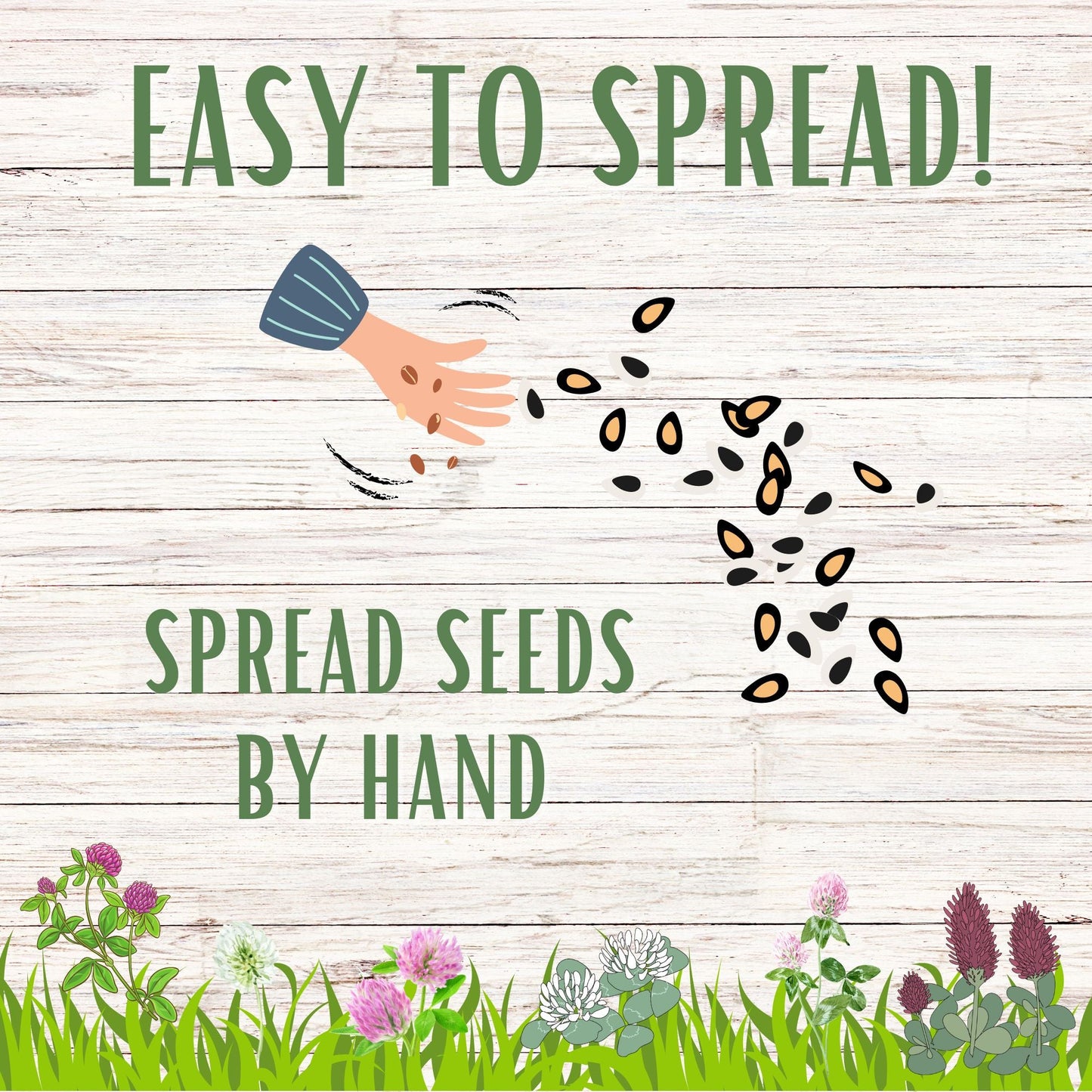 Tri-Color Clover Seed Blend