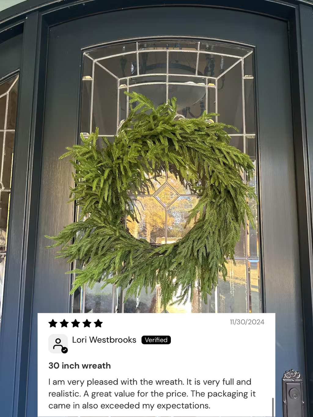 Norfolk Pine Wreath | 30"