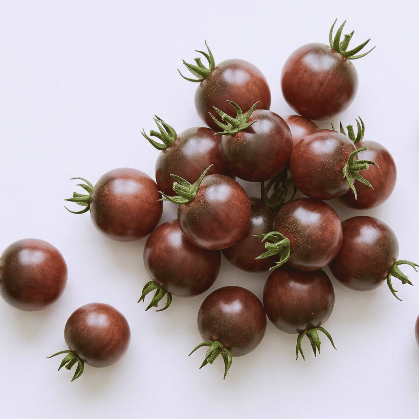 Tomates cerises noires | 20 graines