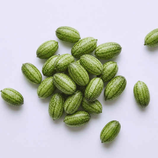 Cornichons aigres mexicains | 10 graines