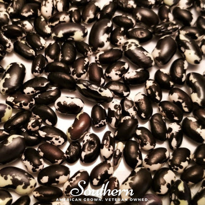 Calypso Orca Bean (Bush) | 25 Seeds
