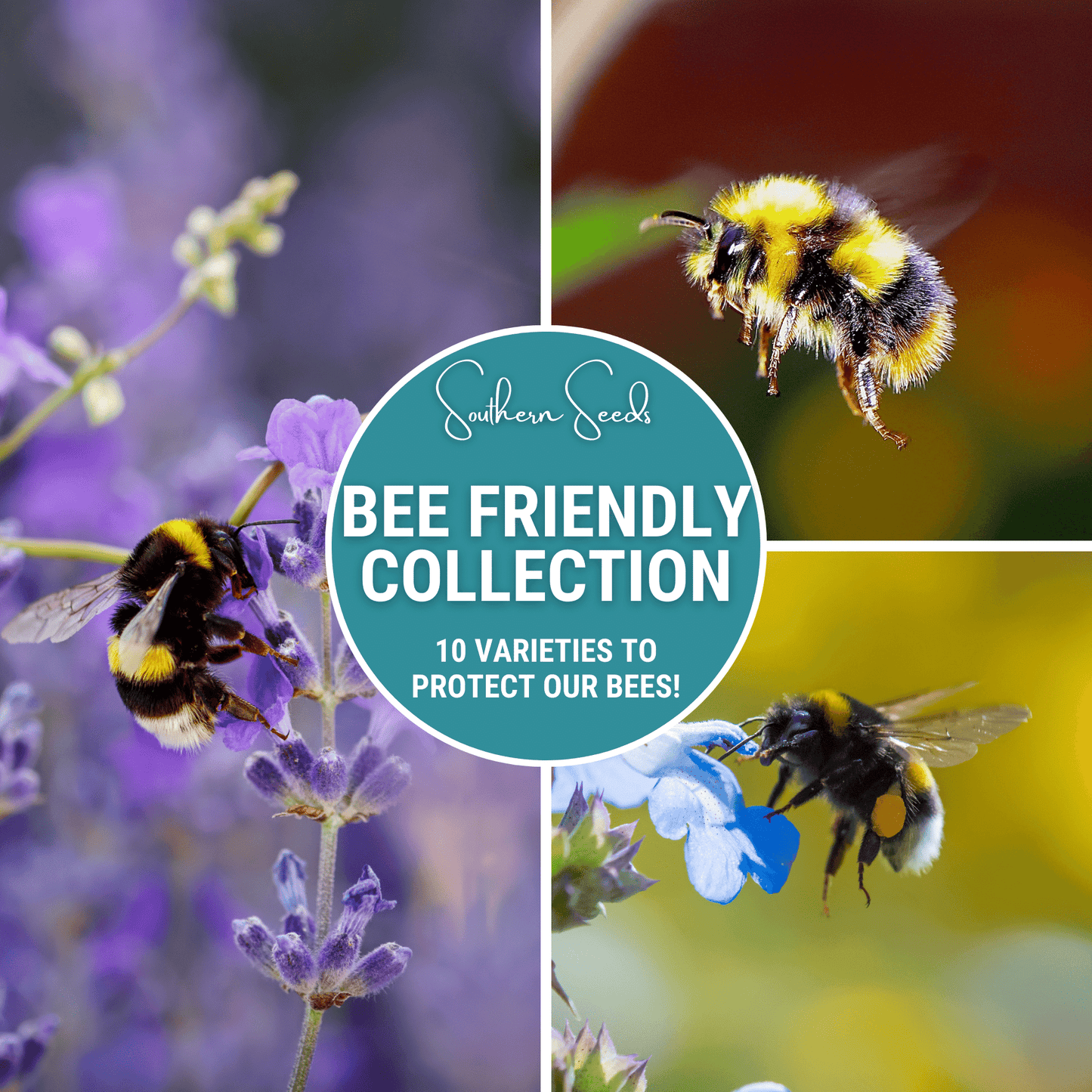 Bee Friendly Collection