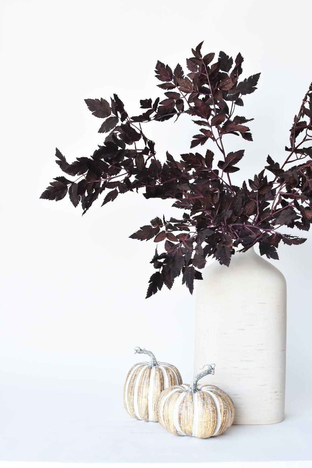 Cimicifunga Ramosa Stem (31")