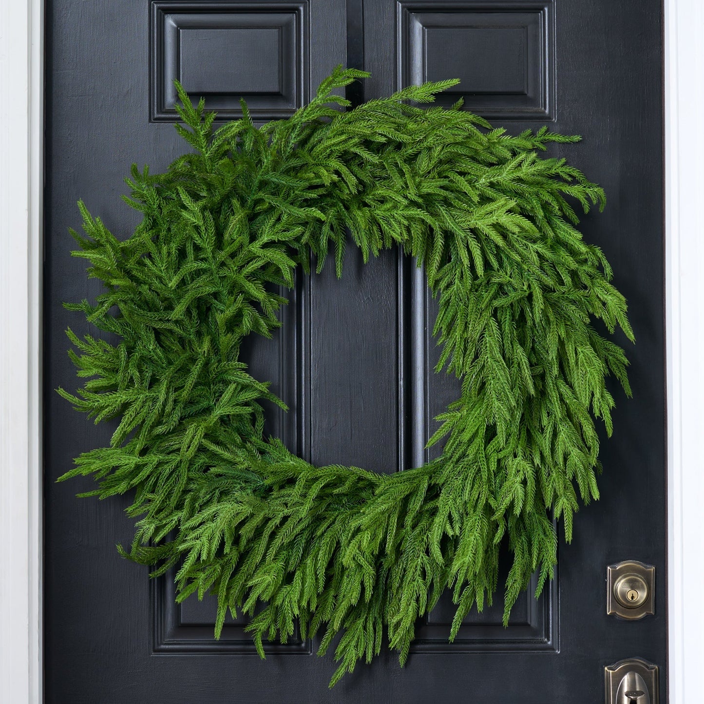Norfolk Pine Wreath | 30"