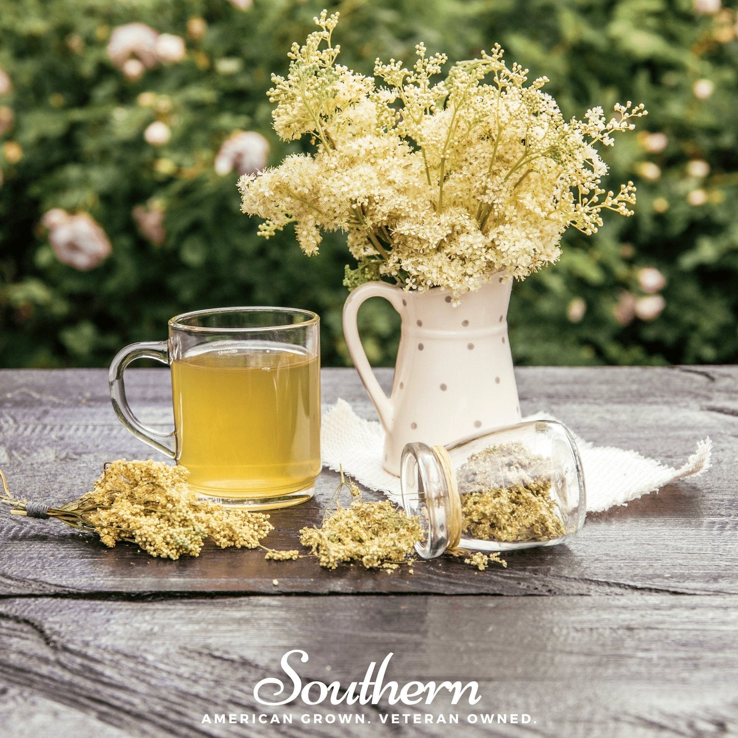 Meadowsweet | 50 Seeds