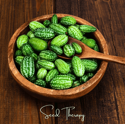 Mouse Melon | 10 Seeds