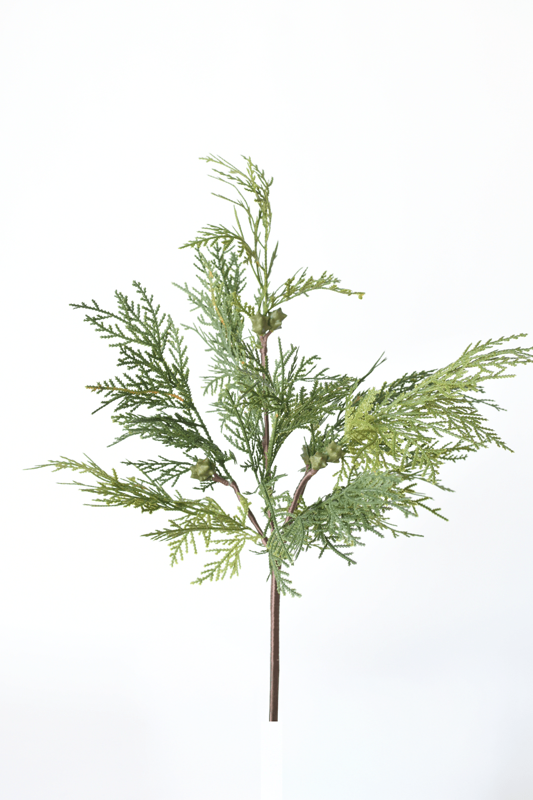 Cedar with Pods Spray (16")
