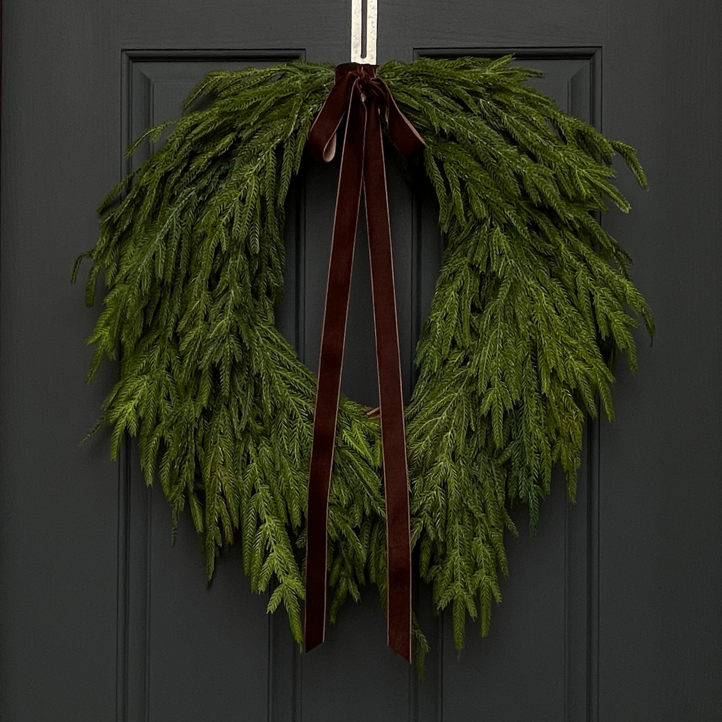 Norfolk Pine Wreath - Dior Bow