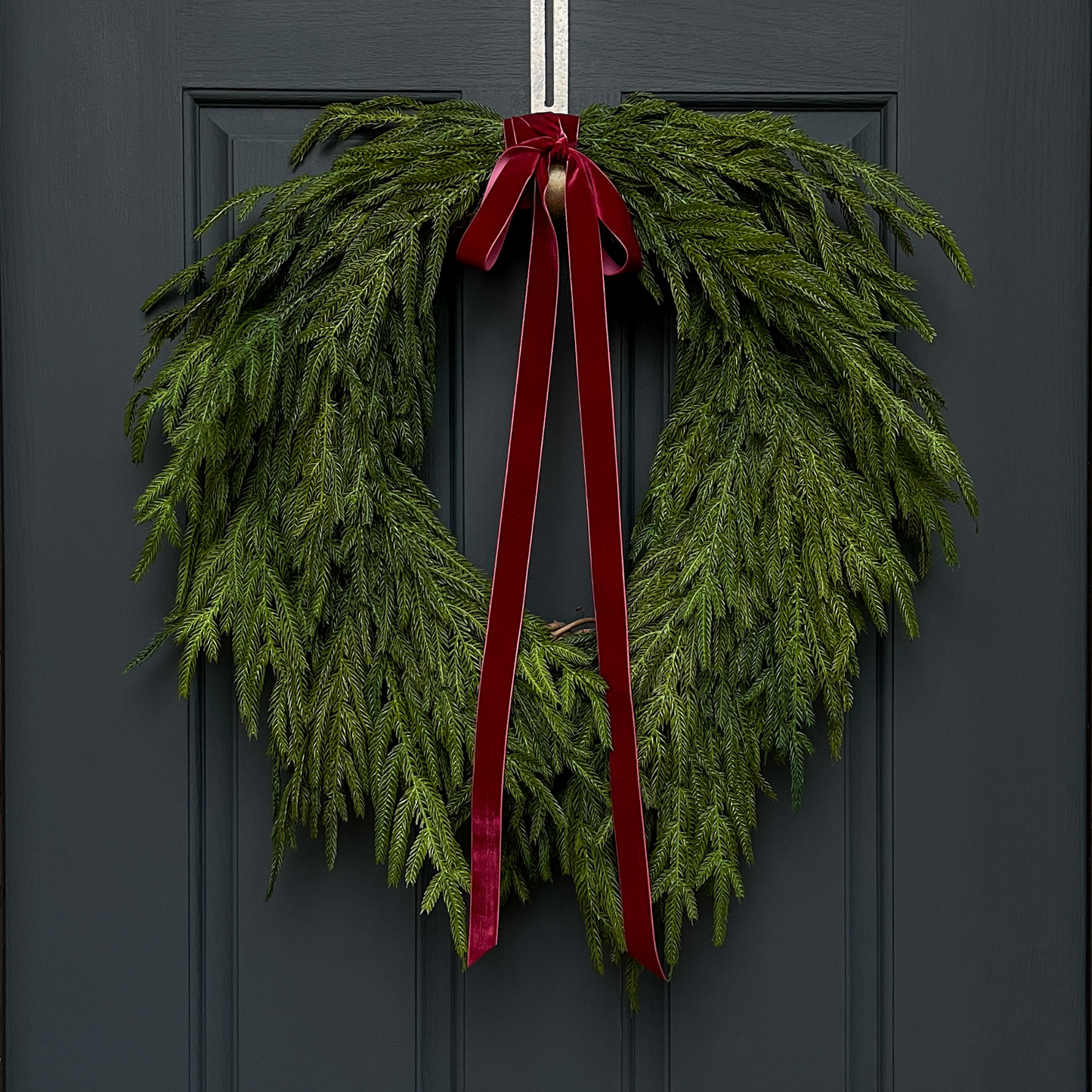 Norfolk Pine Wreath - Dior Bow