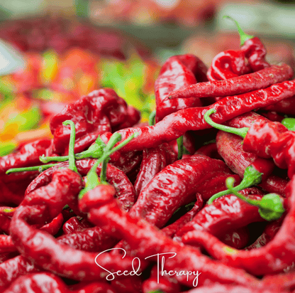 Jimmy Nardello's Pepper | 25 Seeds