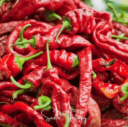 Jimmy Nardello's Pepper | 25 Seeds