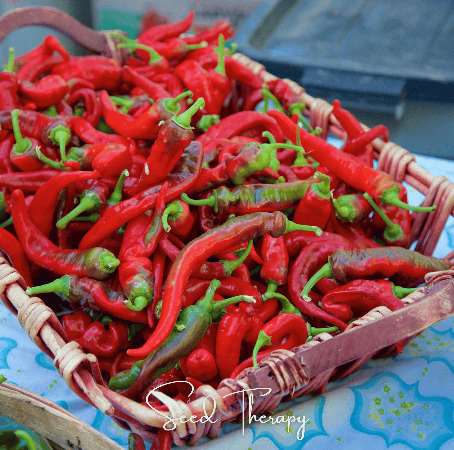 Jimmy Nardello's Pepper | 25 Seeds