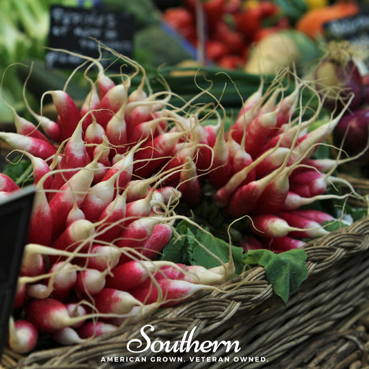 French Breakfast Radish | 250 Seeds