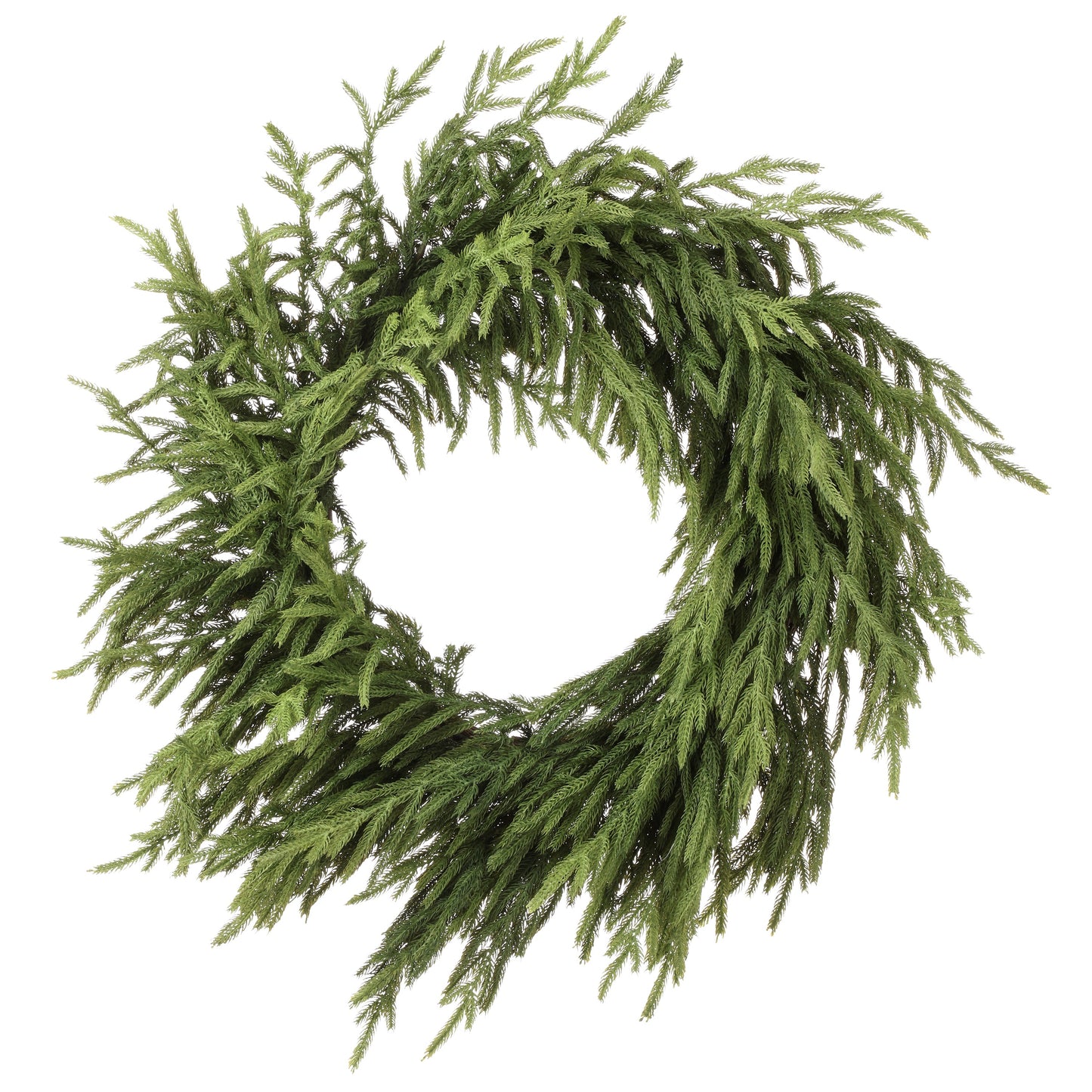 Norfolk Pine Wreath | 30"
