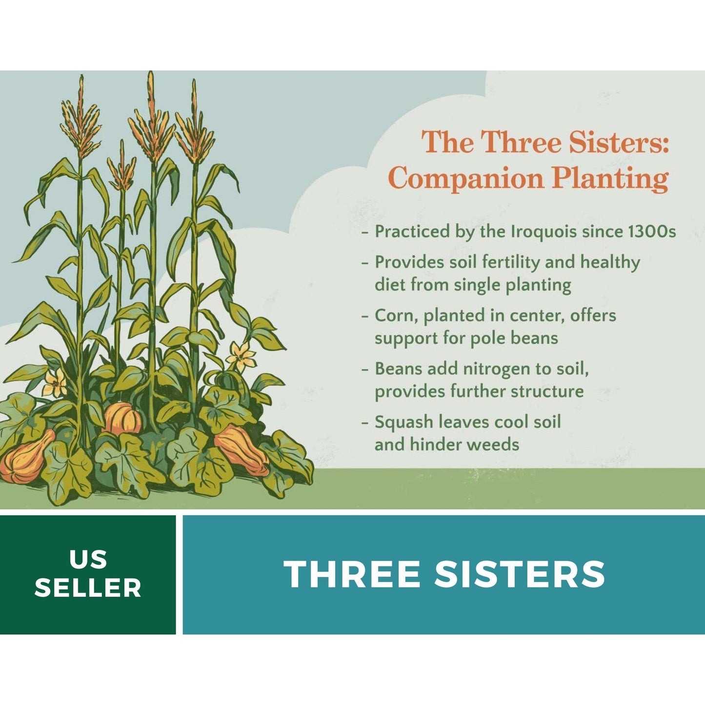 Three Sisters Seed Collection | Native American Farming