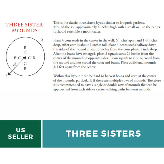 Three Sisters Seed Collection | Native American Farming