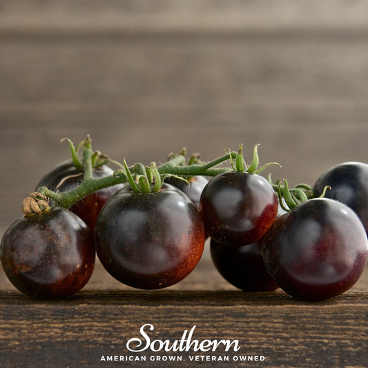 Black Cherry Tomato | 20 Seeds